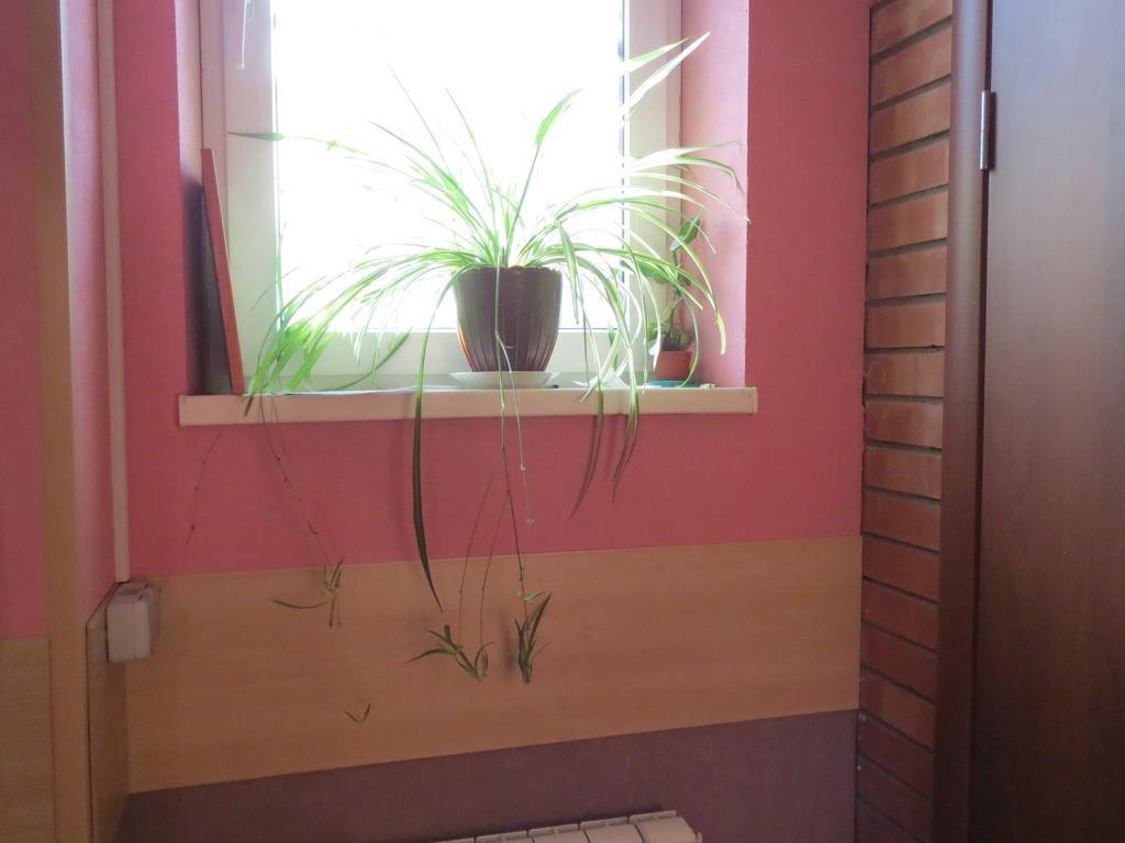 Guest House Avenue Rostov-on-Don Quarto foto